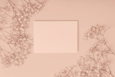 Narin çigila çiçekleri ve renkli bir arka planda boş bir kart. Düz kompozisyon. Kart, davet.