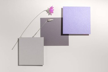 Minimalist çevre dostu kartpostal, sunum, kurumuş immortelle çiçekleriyle davetiye (Xeranthemum annuum annuum).