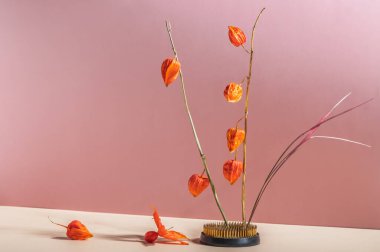 Sonbahar, portakal fisalis dalları ve kopyalama alanı ile soyut yaşam.