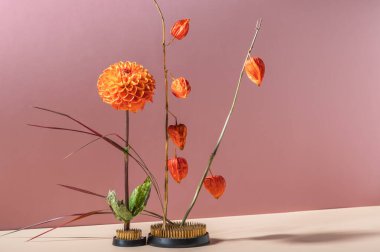 Sonbahar, portakal fisalis dalları ve yıldız çiçekleri ile soyut bir yaşam..