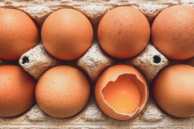 Selüloz kutusundaki organik çiftlik yumurtaları. Bir yumurta kırıldı..