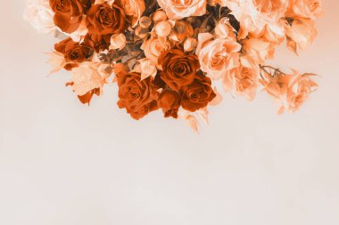 Pembe arka planda pastel renkli güller. Tebrik kartı, Mockup.Boşluğu kopyala.