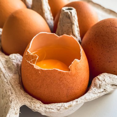 Organik taze yumurta ve biyolojik olarak çözünebilir ambalaj..