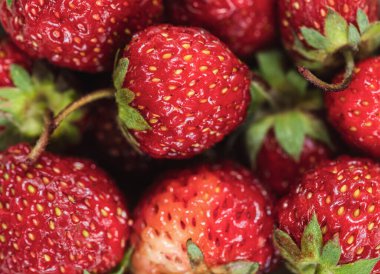   Kırmızı çilekler yakın plan. Böğürtlen arka planı.