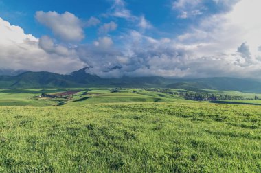Dağ yeşili vadi ve bulutlu gökyüzü. Dağ vadisinde otlak. Dağ manzarası. Doğal arka plan..
