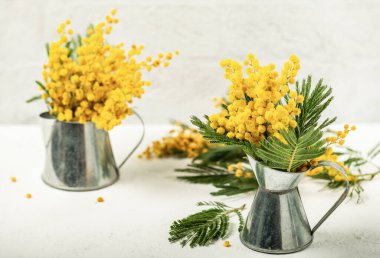 Dekoratif çinko sulama kutularında mimoza buketleri.