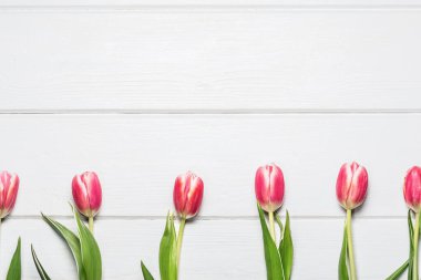 Beyaz ahşap arka planda pembe laleler. Metin için yer.