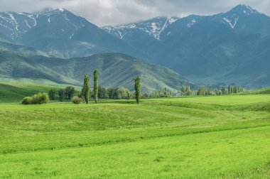Dağ yeşili vadi. Doğanın işi. Yazın seyahat ederiz..