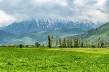 Sahada yeşil çimenler, yeşil dağlar ve bulutlu gri gökyüzü ile karla kaplı tepeler. Kırgızistan 'ın Doğası.