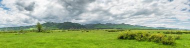 Yeşil çimenler ve yeşil dağlar, bulutlu gri gökyüzü. Panoramik doğal arka plan..