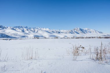 Karla kaplı dağ sıraları ve açık mavi gökyüzü. Karla kaplı tarlalar ve kuru çimenler.