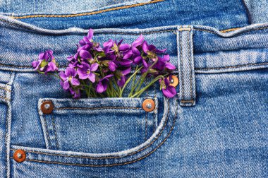 Kot pantolonun cebinde vahşi menekşeler. Bahar havası.