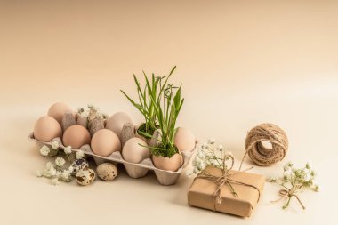 Paskalya arkaplanı, tebrik kartı. Paskalya yumurtaları ve yeni otların filizlendiği konteynır. Hediye kutusu ve çingeneler..