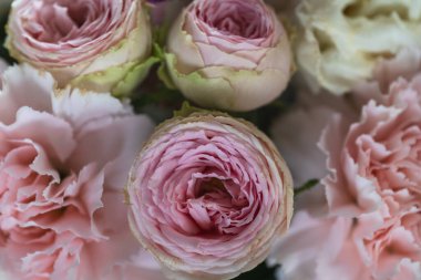 Narin pembe çiçeklerin çiçekli arka planı