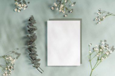 Tebrik kartı ya da düğün davetiyesi modeli. Boş form ve okaliptüs ve zeytin arkaplanda gypthe dalları.