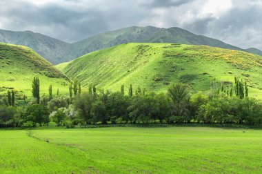 Yeşil tepelerin arasındaki yeşil alan. Gri bulutlu gökyüzü. Doğaya yolculuk.
