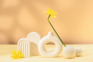 Alçı kalıplar, modern beyaz vazo ve nergis..