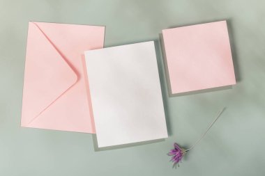 Pembe zarf, iki boş kart ve kurutulmuş Xeranthemum çiçeği. Tebrik kartı, davetiye, doğum günü kartı..