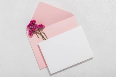 Üzerinde pembe Armeria buketi olan pembe bir zarf..