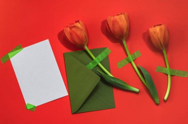 Kırmızı arka plana bantlanmış üç kırmızı lale, yeşil bir zarf ve bantlanmış boş bir beyaz kart. Tebrik kartı, davet.