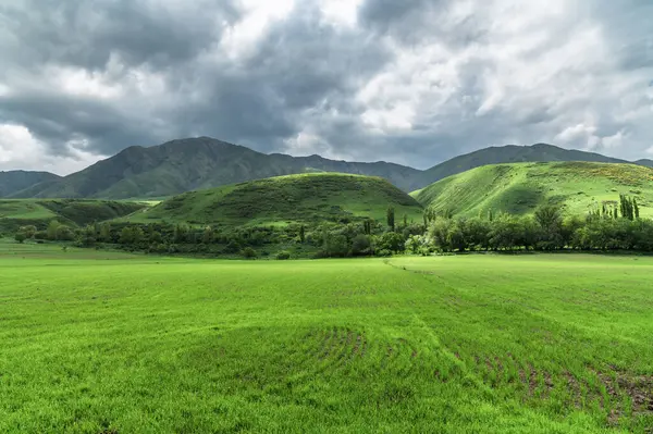 Yeşil tepenin arka planına karşı yeşil alan. Bulutlu gökyüzü. Vahşi doğaya yolculuk.