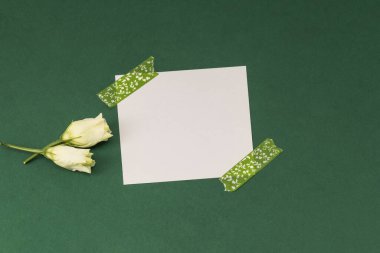 Yeşil arka planda boş çıkartma ve Eustoma çiçekleri. Davetiye mi yoksa tebrikler mi?.