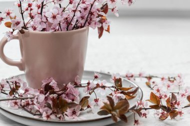 Bahar çiçeği arkaplanı, seçici odak noktası. Bir tabakta seramik bardakta çiçek açan erik dalları.