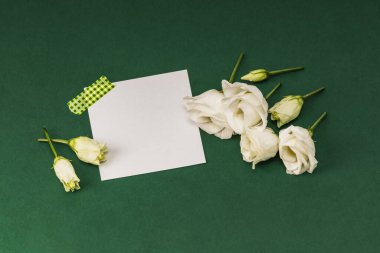 Davet ya da selamlama modeli. Yeşil arka planda boş kart ve beyaz Eustoma çiçekleri.