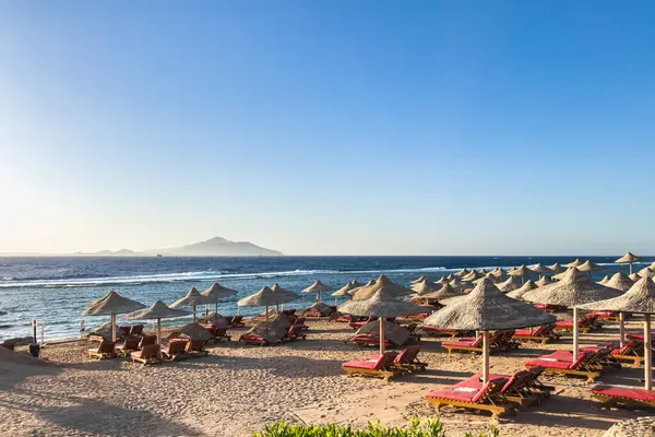 Mısır 'ın Sharm el-Sheikh plajındaki saman plaj şemsiyeleri. Yaz tatili ve seyahat konsepti..
