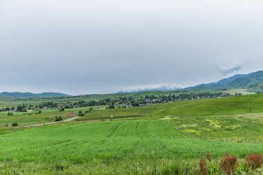 Kırgızistan 'daki Chui Vadisi' nin bahar manzarası. Doğa arkaplanı.