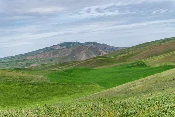 Kırgızistan 'ın Chui Vadisi' nde otlak ekili dağ tarlaları. Doğa arkaplanı.