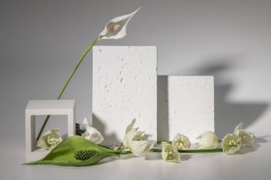 Tebrik kartı, davetiye ya da sunum modeli. Dokulu alçı kartları, spathiphyllum ve yukka çiçekleri..