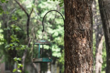 Şehir bulvarındaki bir ağaçta zarif bir metal kuş evi asılı. Boşluğu kopyala, arkaplanı bulanıklaştır.