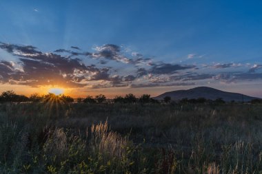 Batan güneşin ışınlarında, tepelik bir ovada çiçek açan çayır..