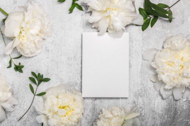 Boş kartla ve gri beton arka planda beyaz şakayık çiçekleriyle selamlama.
