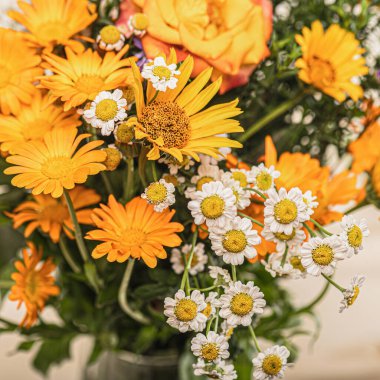 Bir buket takvim ve papatya çiçeği. Şifalı çiçekler seçmeli odak.