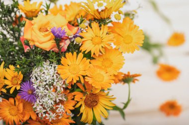 Renkli yaz ve sonbahar çiçekleri beyaz bir masada. Tıbbi çiçekler. Seçmeli odak.