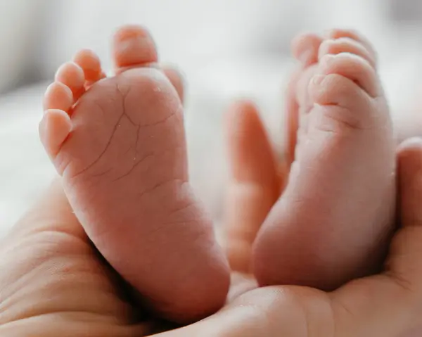 A newborn babys feet in mom s hands close-up. High quality photo