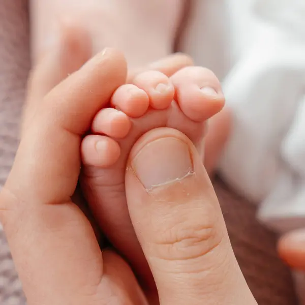 A newborn babys feet in mom s hands close-up. High quality photo