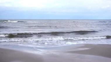 Martılar Ocak ayında Polonya 'nın Kohlberg kentinde kışın Kuzey Denizi' nde yüzerler.