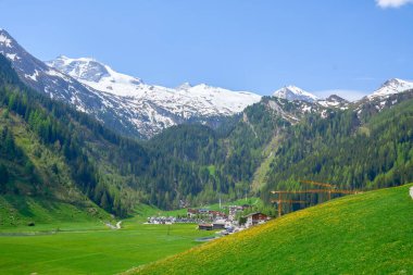 Avusturya evleri, inekleri ve karla kaplı dağları olan yeşil bir dağlık vadi. Yüksek kalite fotoğraf