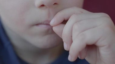 4 yaşındaki Avrupalı bir çocuk parmaklarıyla dudaklarına dokunuyor, sonra bir çizgi filme konsantre olurken diline dokunmak için uzanıyor. Dikkatle izlerken yüzü merakını ve dikkatini gösteriyor.