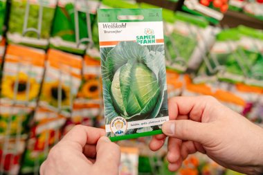 Bir mağaza koridorunda lahana tohumu paketini tutan ellerin yakın çekimi. Ambalajda renkli tohum paketleriyle çevrili temiz markalaşmış büyük bir lahana resmi var.