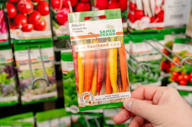 Canlı havuçlar için tohum paketi bir bahçe dükkanında el ele tutuştu. Arka planda domatesler, turplar ve yeşiller yer alıyor.