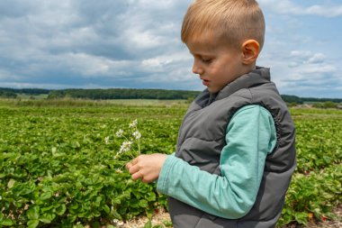 Küçük çocuk yemyeşil bir tarlada duruyor, elinde küçük bir buket kır çiçeği tutuyor. Sahne bir merak anı yakalıyor ve gökyüzünün açık olduğu doğayı takdir ediyor..