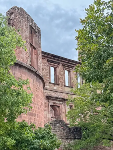 Taş duvarları ve pencereleri olan harabeler canlı ağaçların arasında duruyor. Tarihsel mimari yemyeşil ile uyumludur. Antik mirasın ve doğanın pitoresk bir sahnesini yaratır.