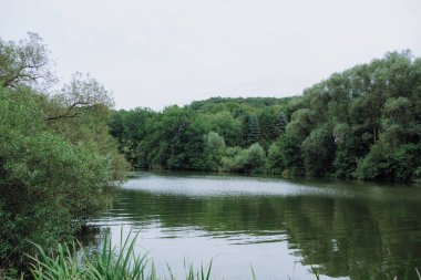 Yoğun bir ormanın ortasında, doğaya huzurlu bir kaçış sunan huzurlu bir göl. Yansıtıcı su, çeşitli ağaçlarla çevrili sakin atmosferi güçlendirir..