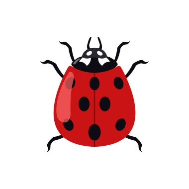 Uğur kuşu renkli vektör çizimi.