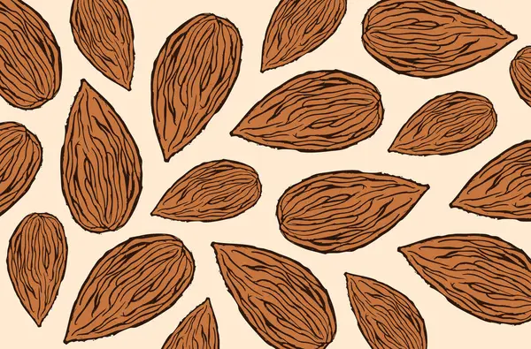 Kahverengi badem vektör arkaplanı.