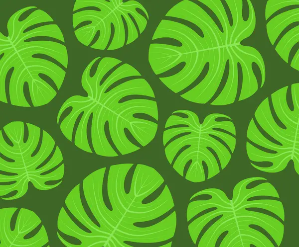 Canavar yapraklı yeşil arkaplan.